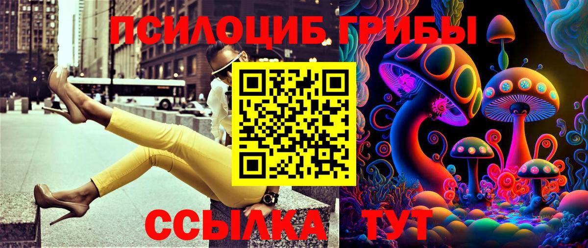 Галлюциногенные грибы прущие грибы Шебекино