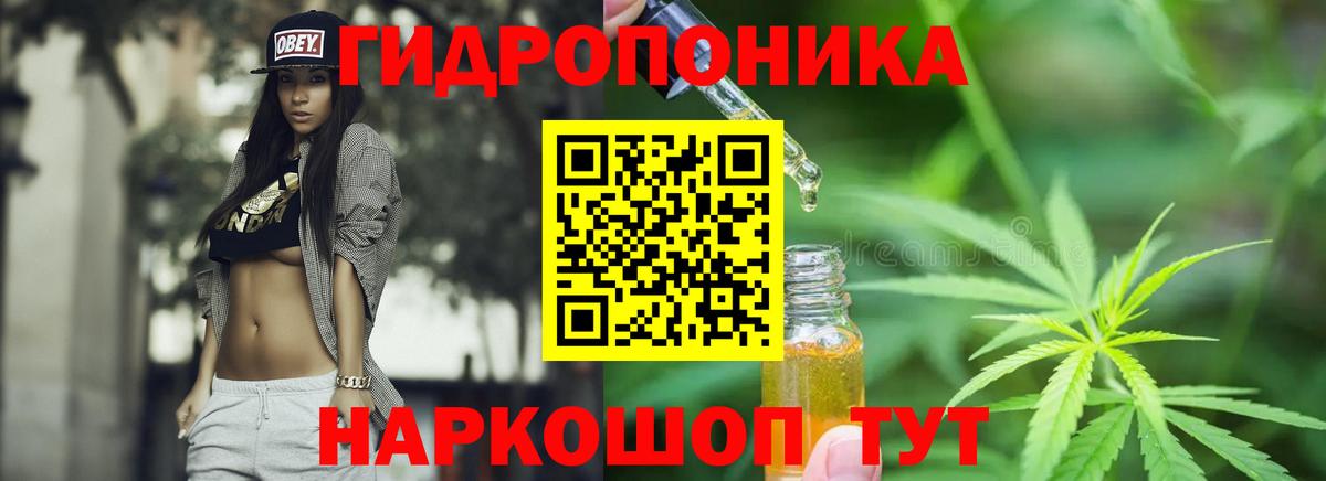 Конопля индика  Канабис сатива  Вход с VPN  Шебекино  Каннабис Amnesia  Конопля семена 